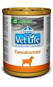 Farmina Vet Life Convalescence Canine 300g