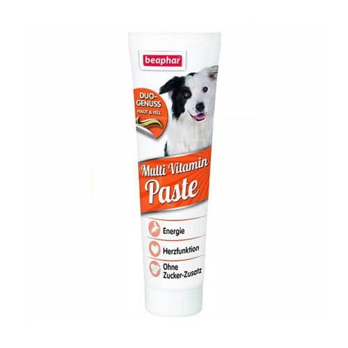 Beaphar Duo Active Paste for Dogs 100g