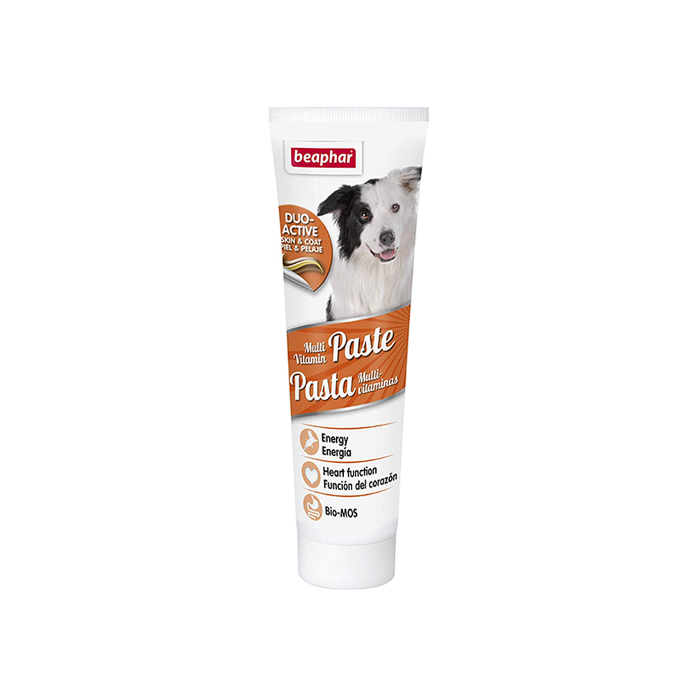 Beaphar Multi Vitamin Paste Duo Active for Dogs 100g